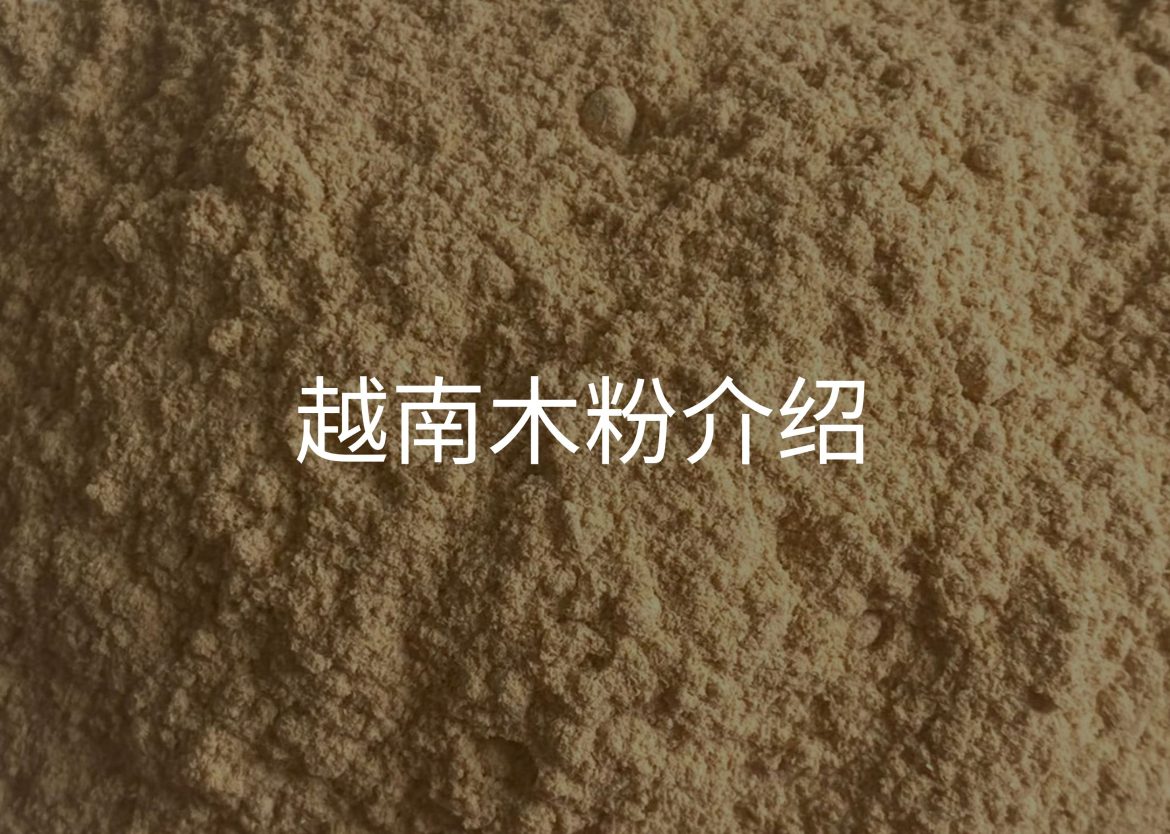 Feature Image for Viego Global (3)