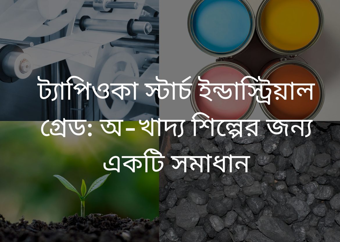 Feature Image for Viego Global (9)