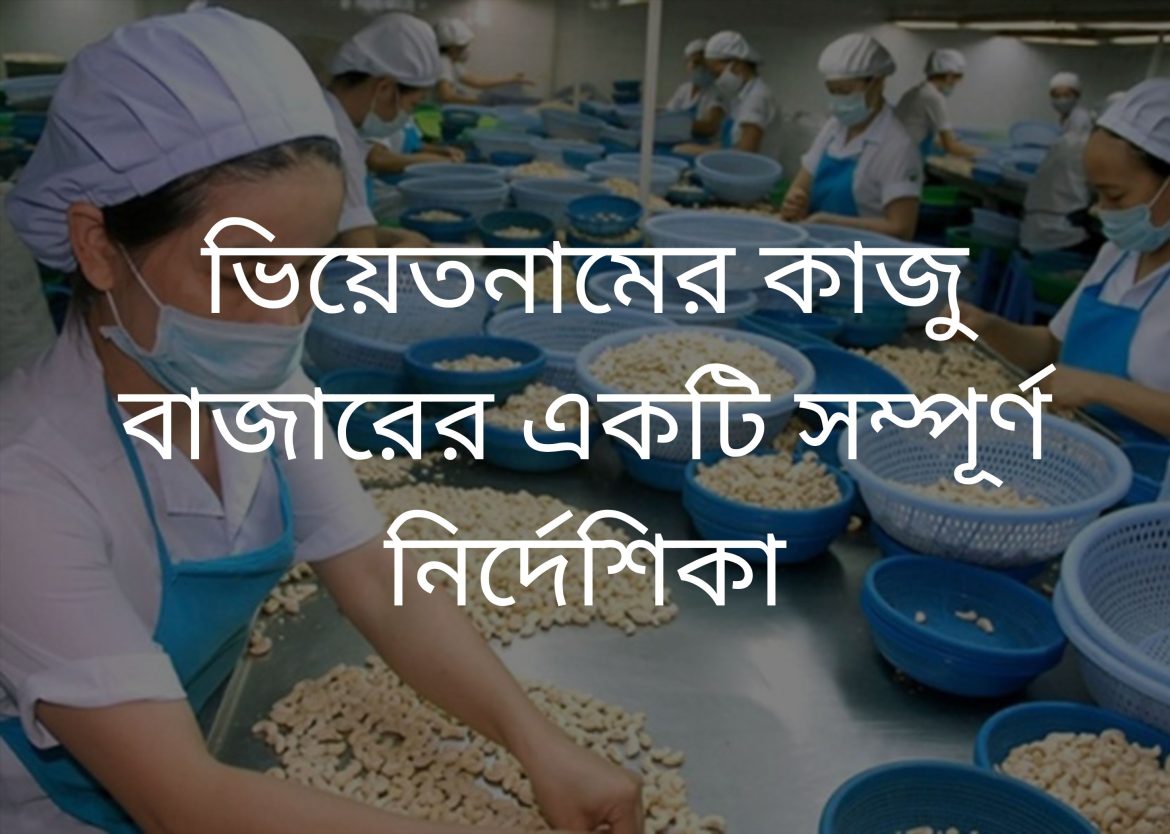 Vietnam cashew nut market Bangladesh