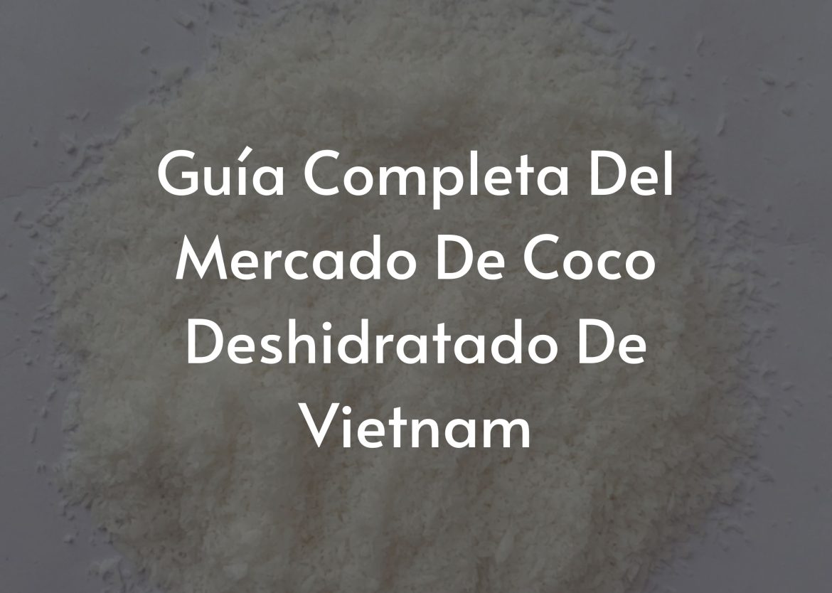 Feature Image for Viego Global (2)