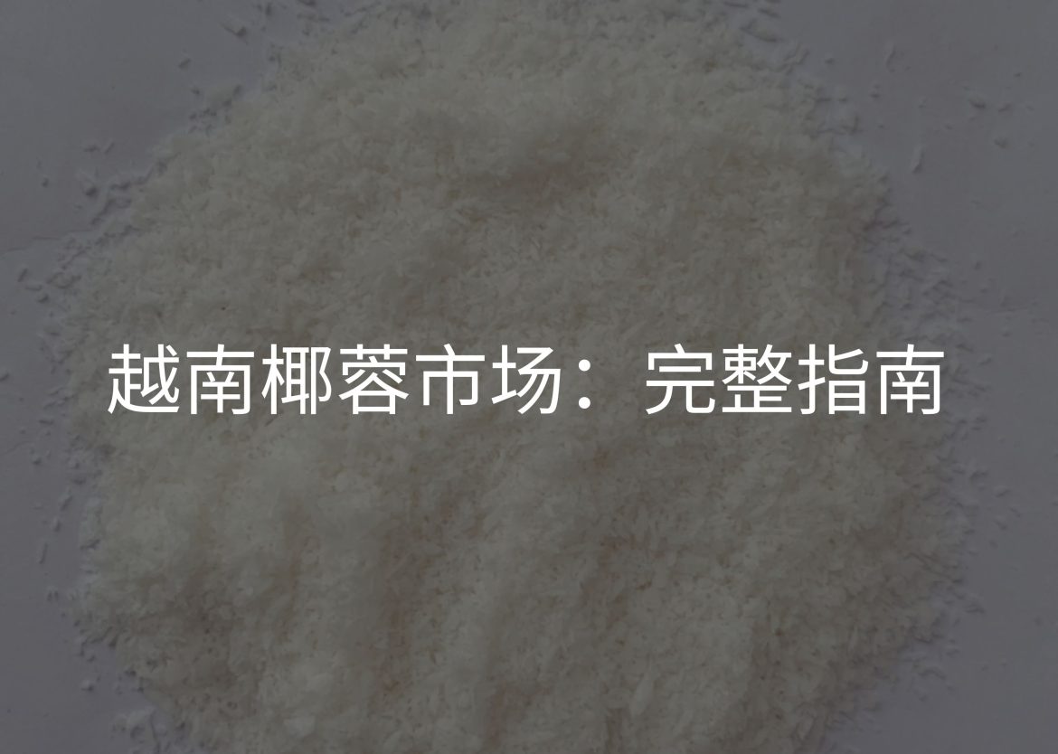 Feature Image for Viego Global (3)