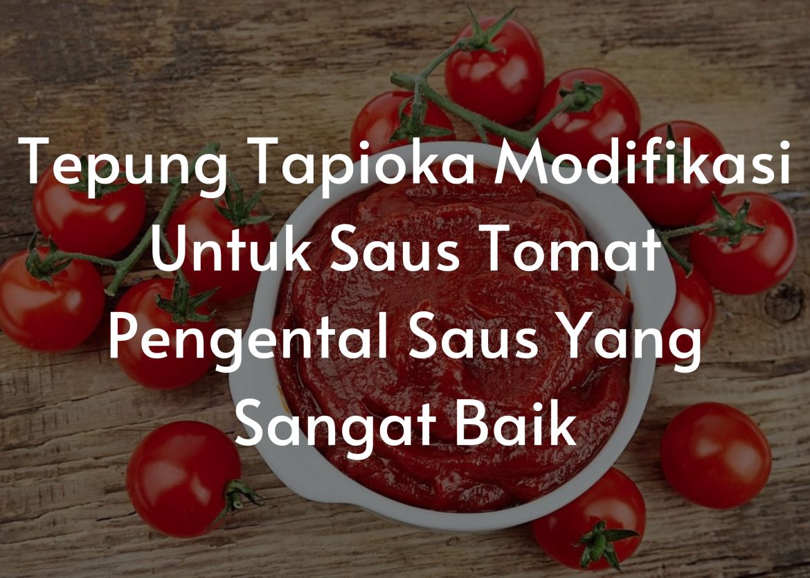 Modified tapioca starch for ketchup Indonesian