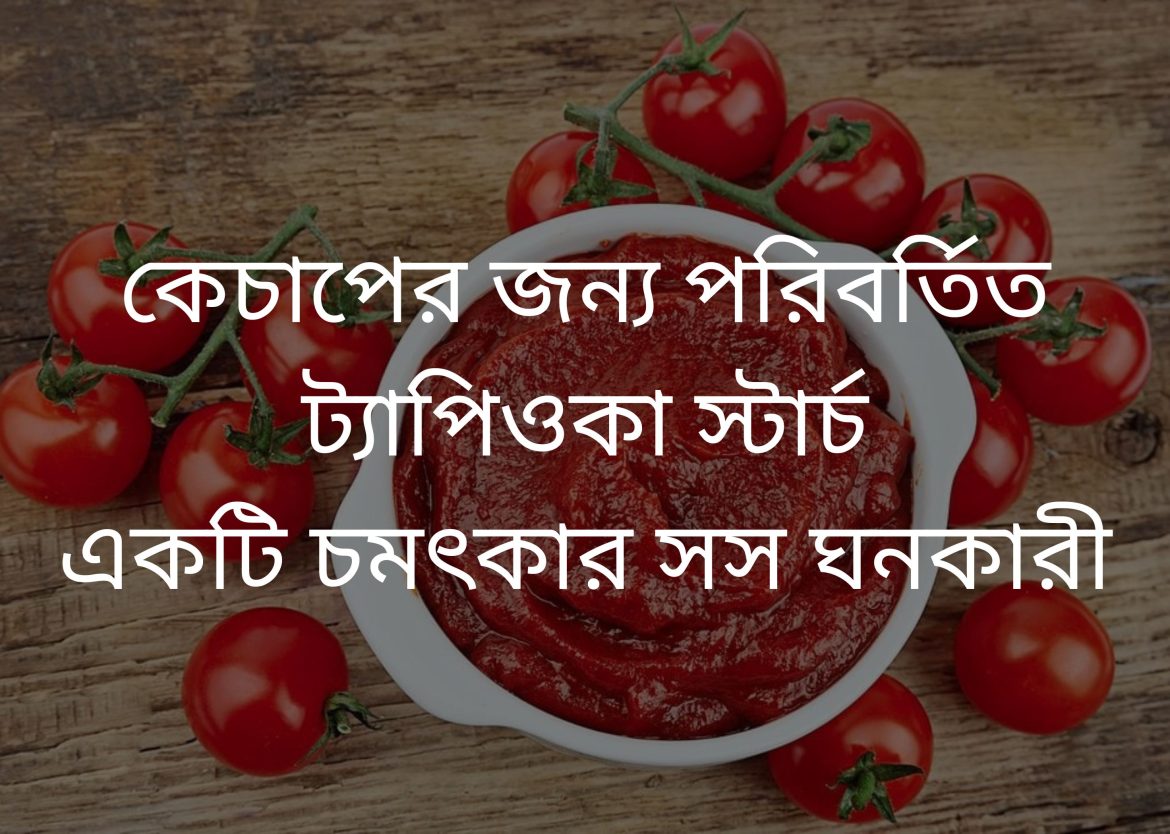 Modified tapioca starch for ketchup bengal