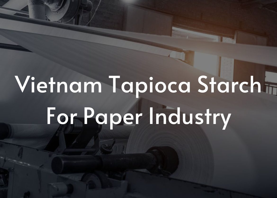 Feature Image for Viego Global (13)