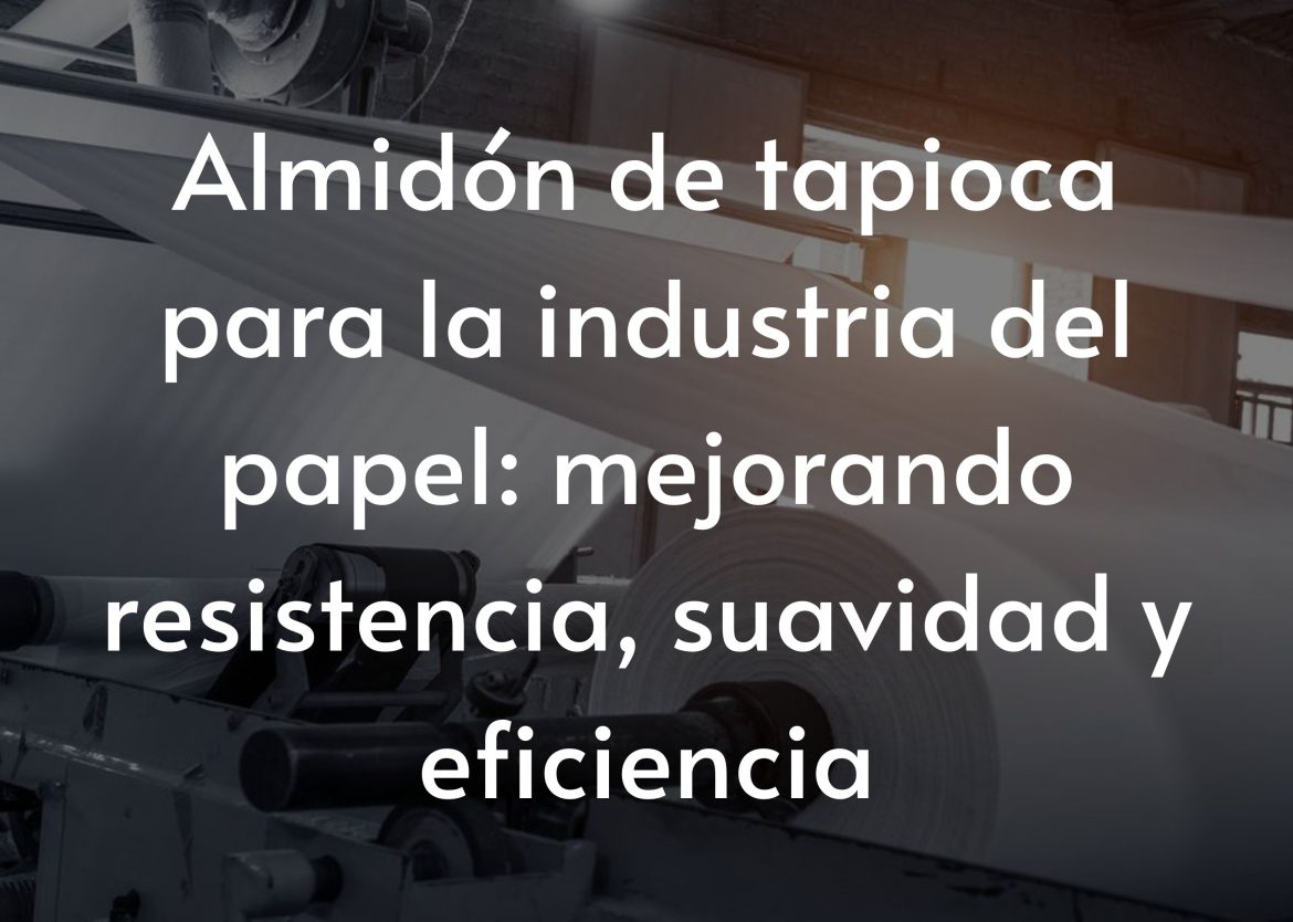 Feature Image for Viego Global (1)