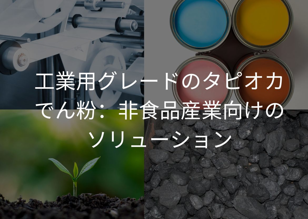 Feature Image for Viego Global (13)