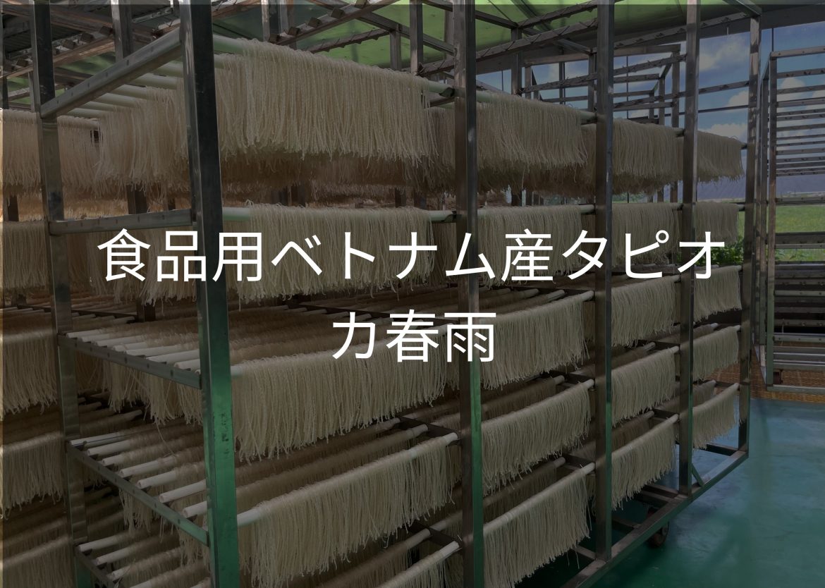 Feature Image for Viego Global (20)