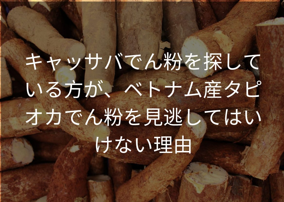 Feature Image for Viego Global (26)