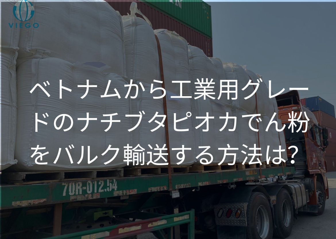 Feature Image for Viego Global (27)