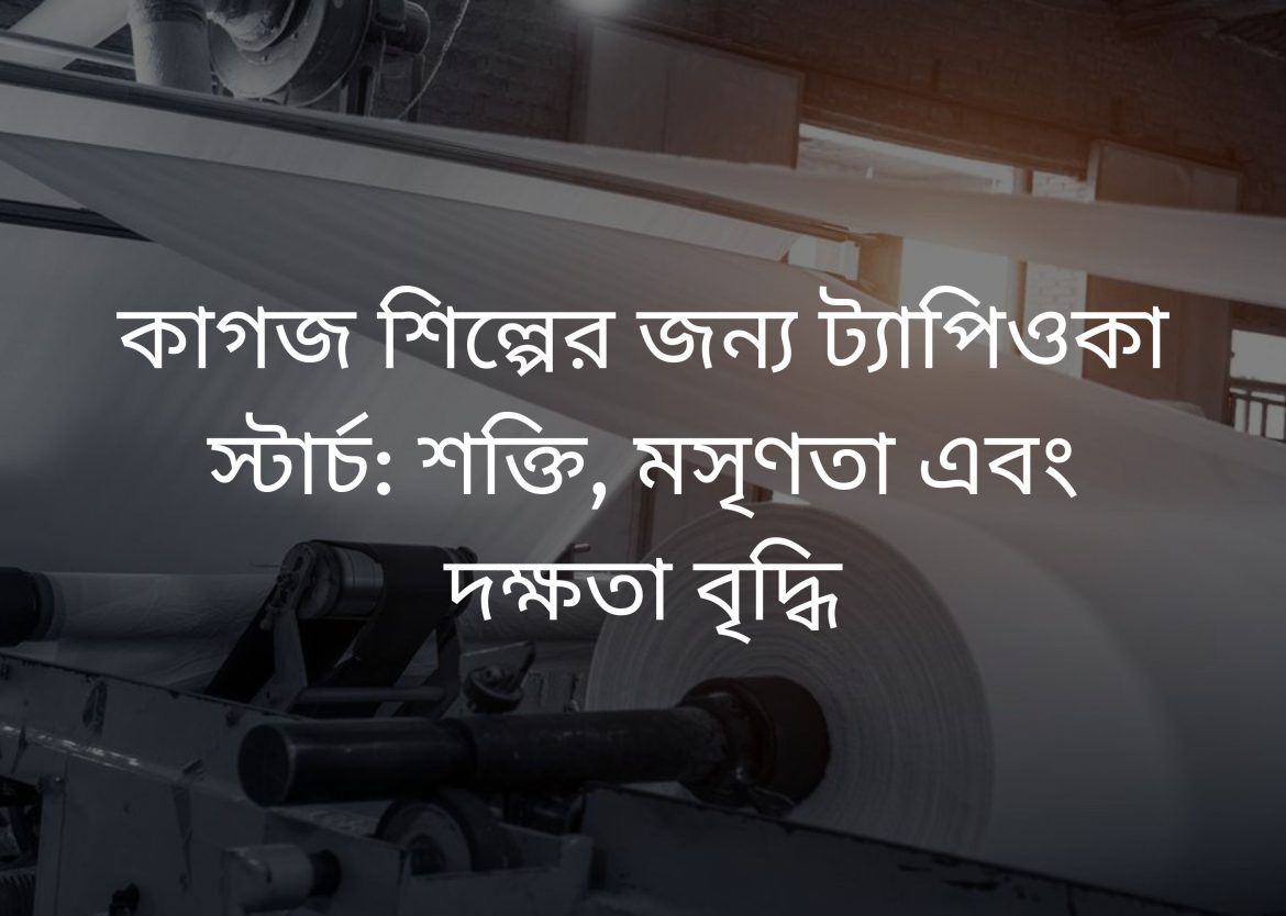 Feature Image for Viego Global (9)