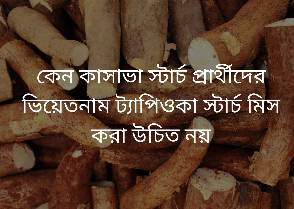 Why cassava starch seeker – bengal