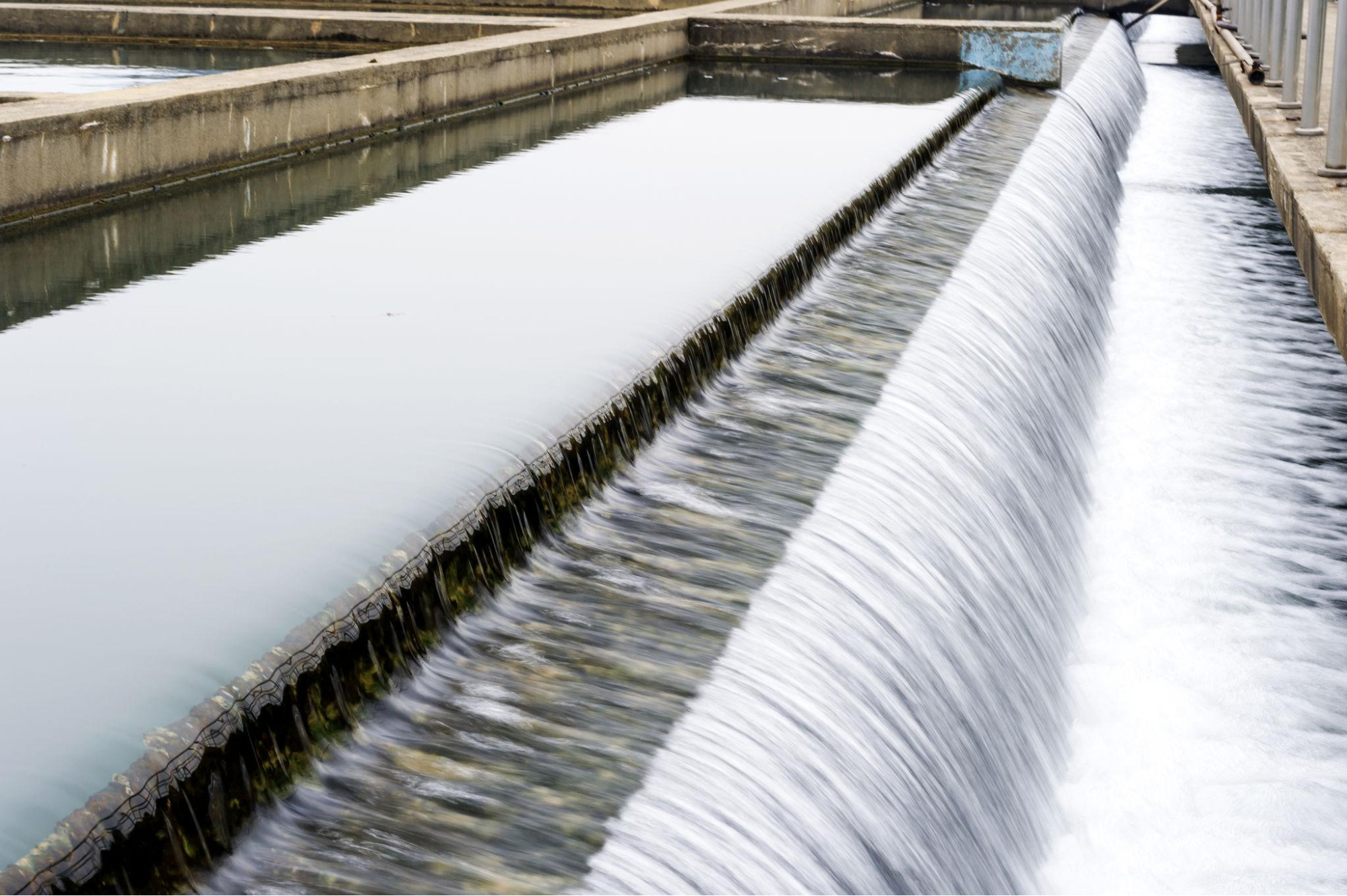 Cationic Starch application in industrial water treatment